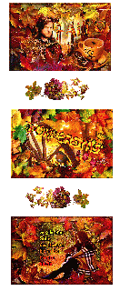 DONNERSTAG   COLLAGE   BIRDS   und HALLO und BILDtext