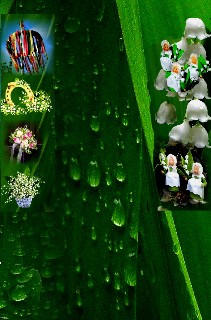 1 MAI    HINTERGRUND 1 kleiner