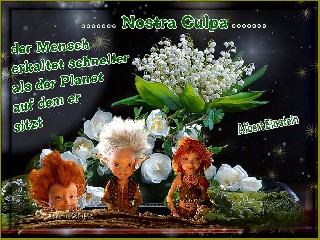 01  Collage MAIGLÖCKCHEN  NOSTRA CULPA