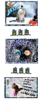 DIENSTAG   CATS   und HALLO und BILDtext