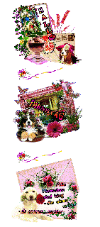 DIENSTAG    COLLAGE  DOGGIE  und HALLO und BILDtext