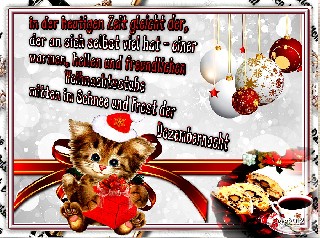 CAT   COLLAGE   IN DER HEUTIGEN ZEIT