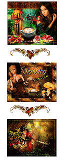 SAMSTAG   WE   REGEN und HALLO und BILDtext