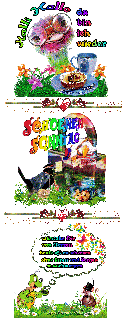 0     COLLAGE FACE VOGELSTRAUSS und HALLO und BILDtext