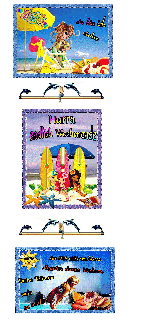 0   COLLAGE  COOKIES  SURFBRETT  und HALLO und BILDtext