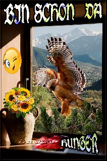 AM  FENSTER   BUSSARD FLEISCH