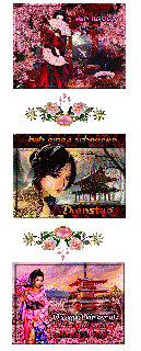 DIENSTAG    CHINESE FACE LADY  und HALLO und BILDtext