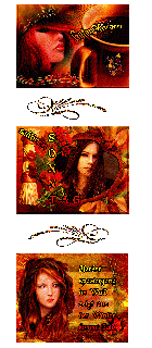 SONNTAG   BLAETTER  FACE  und GUMO und BILDtext