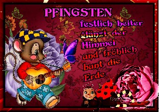 1 COLLAGE   MAUS   BUNTE ERDE