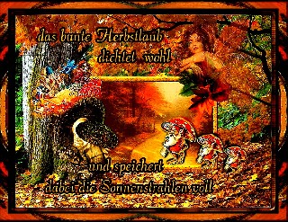 COLLAGE  das bunte Herbstlaub dichtet wohl