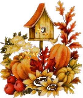 1 a 1 am Vogelhäuschen