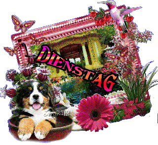 DIENSTAG    COLLAGE  DOGGIE