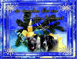 1  Fionn und Godwynn   ADVENTSZEIT