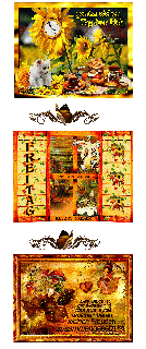 FREITAG     CATS  AM FENSTER und GUMO und BILDtext