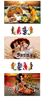 SONNTAG   COLLAGE MUSCHEL  und GUMO und BILDtext