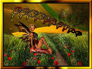 DONNERSTAG  ELFE  FELD UND WIESE