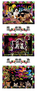 DONNERSTAG    COLLAGE  HUSKIES und HALLO und BILDtext