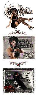 GOTHIC   LADY IN GREY  und HALLO und BILDtext