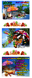 SONNTAG    AM STRAND   CAT   und HALLO und BILDtext