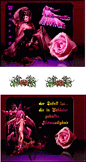 GOTHIC  COLLAGE und BILDtext