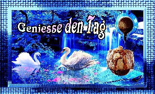 COLLAGE  SCHWAN   GENIESSE DEN TAG
