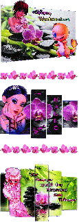 COLLAGE   ORCHIDEE und HALLO und BILDtext