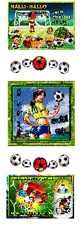 SAMSTAG   FUSSBALL LADY und HALLO und BILDtext