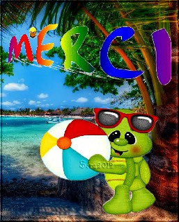 0    COLLAGE   WASSERBALL