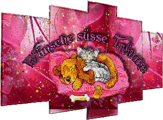 CAT   DOG   SWEET DREAMS