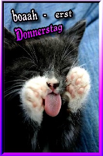 DONNERSTAG    CAT