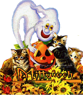 MITTWOCH   CATS  COLLAGE