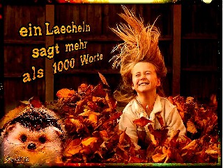 BILD  mehr als 1000 Worte