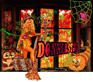 DONNERSTAG    AM FENSTER