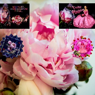 PFINGSTEN  HINTERGRUND