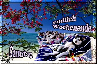 SAMSTAG  AM MEER  HUSKIES