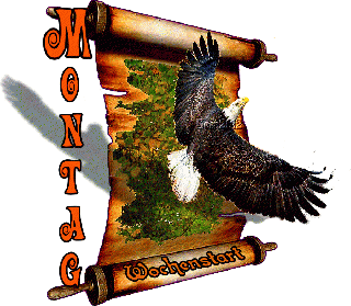 MONTAG   ADLER COLLAGE