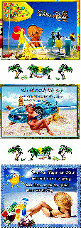AM  STRAND   BIKINIGIRL  AUTO und HALLO und BILDtext