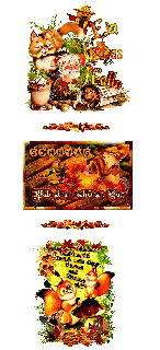 SONNTAG    COLLAGE   EICHHOERNCHEN    und HALLO und BILDtext