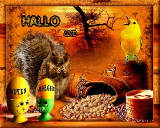 COLLAGE  EICHHOERNCHEN    BIRD