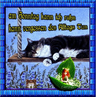 CAT   AM SONNTAG KANN ICH RUHN