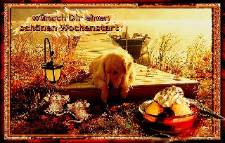 COLLAGE  DOGGIE   EIS