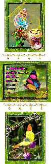 SONNTAG   BUTTERFLY und GUMO und BILDtext