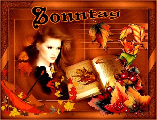 SONNTAG  FACE COLLAGE