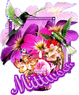 MITTWOCH   COLLAGE  BIRDS