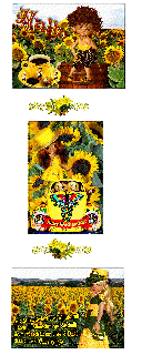 MONTAG   AUTO und HALLO und BILDtext