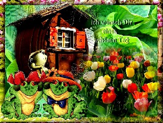 01  Collage Froesche