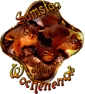 SAMSTAG  EICHHÖRNCHEN