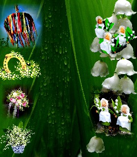 1 MAI    HINTERGRUND