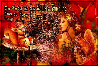 1 EICHHOERNCHEN   Waldweg DER HERBST SCHOENSTES KLEID