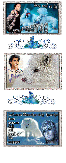 FREITAG    Collage    EISBAEREN COLA  und HALLO und BILDtext